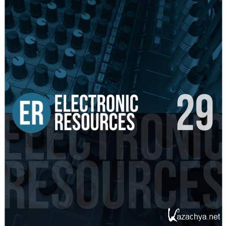 Electronic Resources, Vol. 29 (2021)