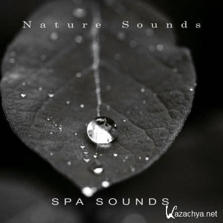 Nature Sounds - Spa Sounds (2021)