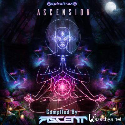 Ascension (Compiled by Ascent) (2021) FLAC