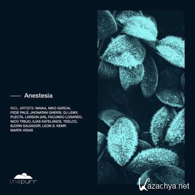 The Purr - Anesthesia (2021)