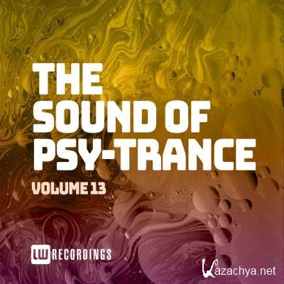 The Sound Of Psy-Trance, Vol. 13 (2021)