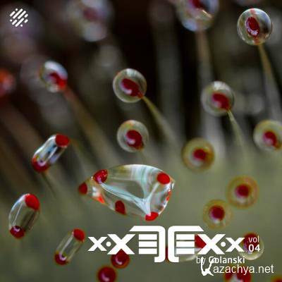 XXETEXx, Vol. 04 (2021)