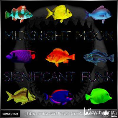 Midknight MooN - Significant Funk (2021)