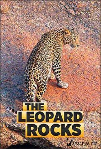   / The Leopard Rocks (2017) HDTVRip 1080p