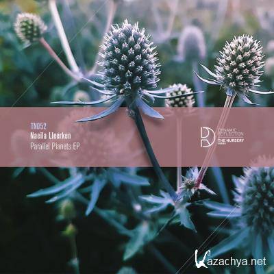 Naeila Lleerken - Parallel Planets EP (2021)