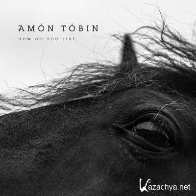 Amon Tobin - How Do You Live (2021)