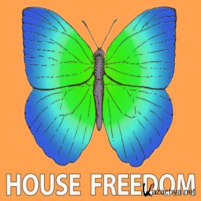 House Freedom - Painting (2021)