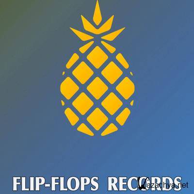 Flip-Flops - Implementation (2021)