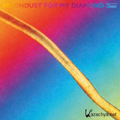 Hayden Thorpe - Moondust For My Diamond (2021)