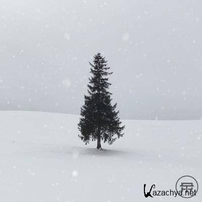 Terabyte Records Presents Winter Warmers (2021)