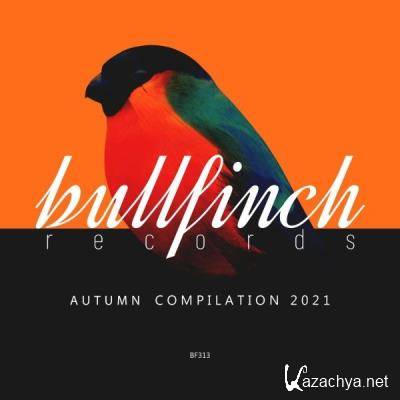 Bullfinch Autumn 2021 Compilation (2021)