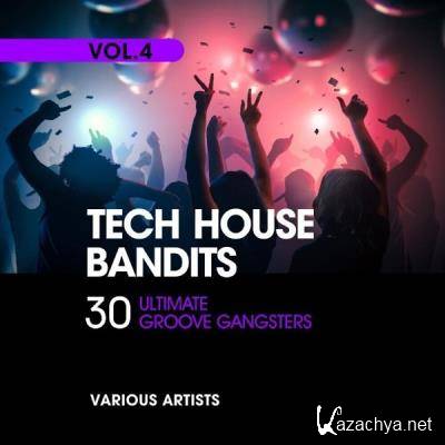 Tech House Bandits (30 Ultimate Groove Gangsters), Vol. 4 (2021)