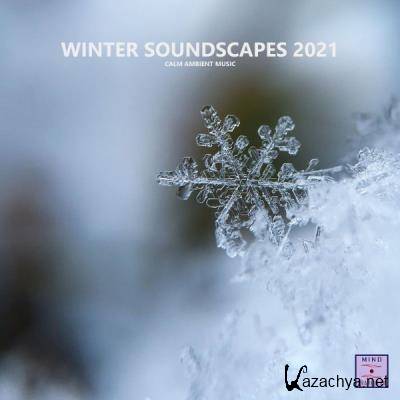 Winter Soundscapes 2021 (Calm Ambient Music) (2021)
