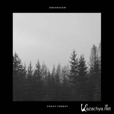 Organicum - Foggy Forest (2021)