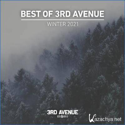 Best Of 3rd Avenue | Winter 2021 (2021)