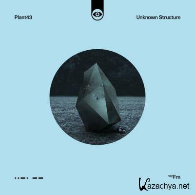 Plant43 - Unknown Structure (2021)