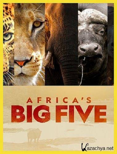    / Africa's Big Five (2020) HDTVRip 720p