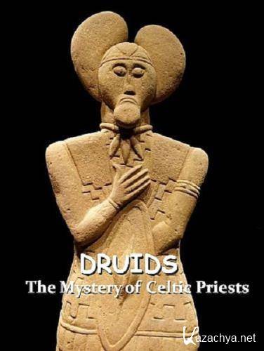 .    / Druids. The Mystery of Celtic Priests (2020) DVB