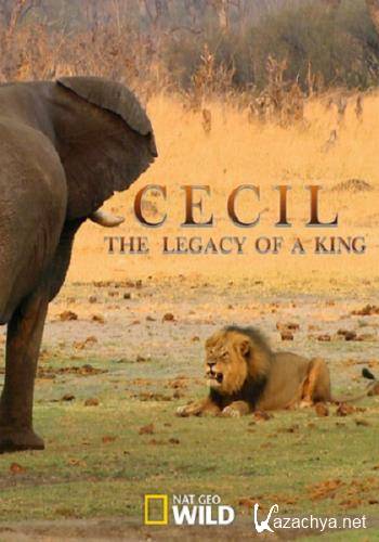 :   / Cecil: The Legacy of a King (2020) WEBRip 1080p