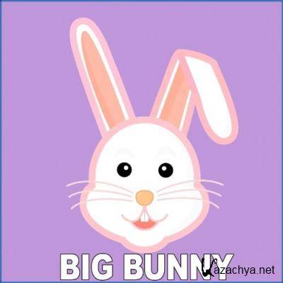 Big Bunny - Night Format (2021)
