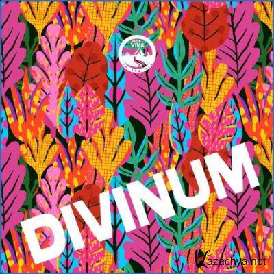 Natura Viva In The Mix - Divinum (2021)