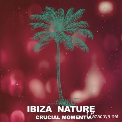 Ibiza Nature - Crucial Moment (2021)