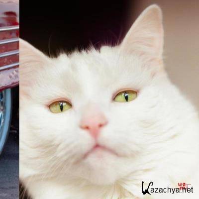 Money House Club - Aeerhh (2021)