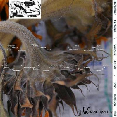 December Lanterns (2021) December Lanterns (2021)