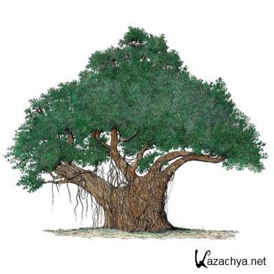 Riff - Jack's Jive (2021)