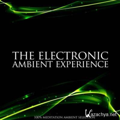 The Electronic Ambient Experience (100% Meditation Ambient Selection) (2021)