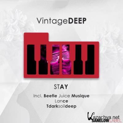 VintageDEEP, Beetle Juice Musique - Stay (2021)