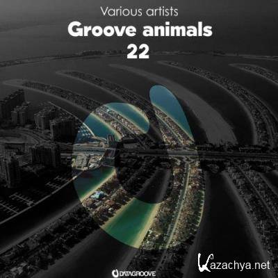 Groove Animals 22 (2021)