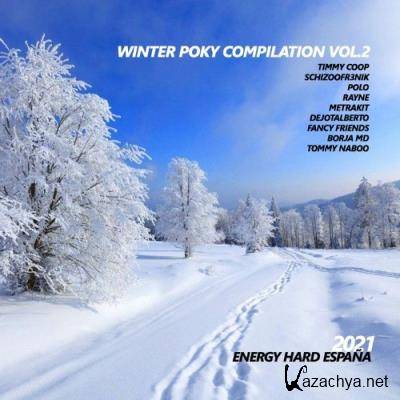 Winter Poky Compilation Vol. 2 (2021)