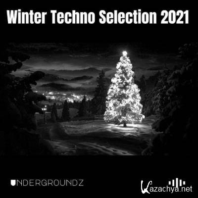 Winter Techno Selection 2021 (2021)