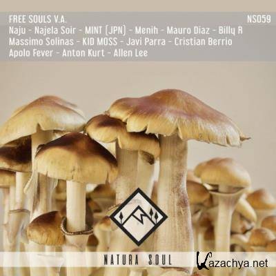 FREE SOULS V.A. (2021)