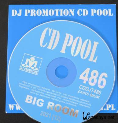DJ Promotion CD Pool Big Room 486 (2021)