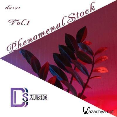 Phenomenal Stock, Vol. 1 (2021)
