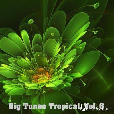 Big Tunes Tropical, Vol. 6 (2021)