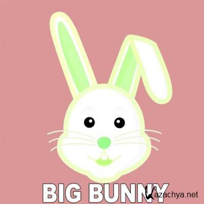 Big Bunny - Minimal Excitement (2021)