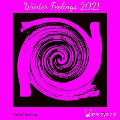 Winter Feelings 2021 (2021)