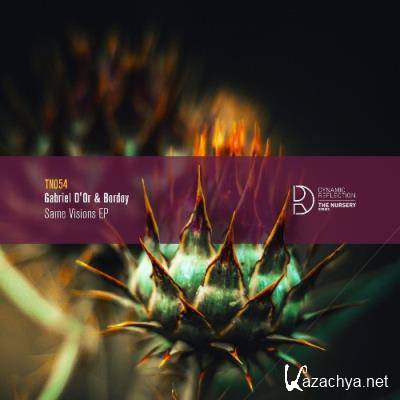 Gabriel D'or & Bordoy - Same Visions EP (2022)