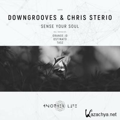 Downgrooves & Chris Sterio - Sense Your Soul (2022)