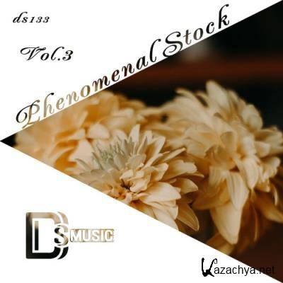 Phenomenal Stock, Vol. 3 (2022)