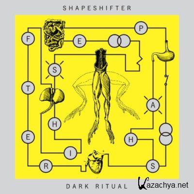 Shapeshifter - Dark Ritual (2022)
