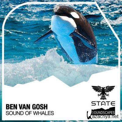 Ben van Gosh - Sound of Whales (2022)