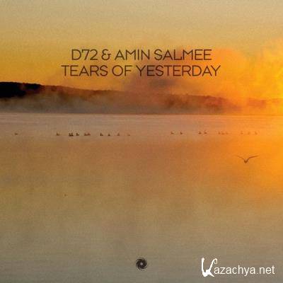 D72 & Amin Salmee - Tears of Yesterday (2022)