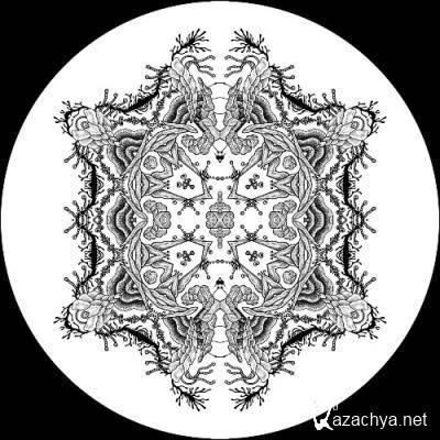 Flaws - The Awakening (2022)