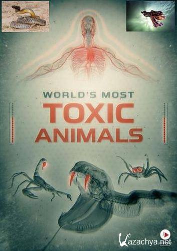     / World's Most Toxic Animals (2021) HDTVRip 720p