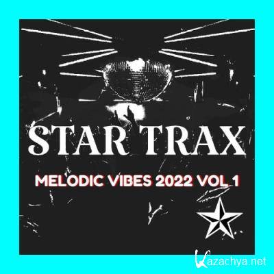 Melodic Vibes 2022 Vol 1 (2022)