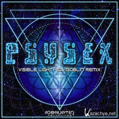 Psysex - Visible Light (DJ Goblin Remix) (2022)
